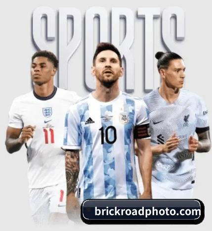 mksports在线登录入口 APP